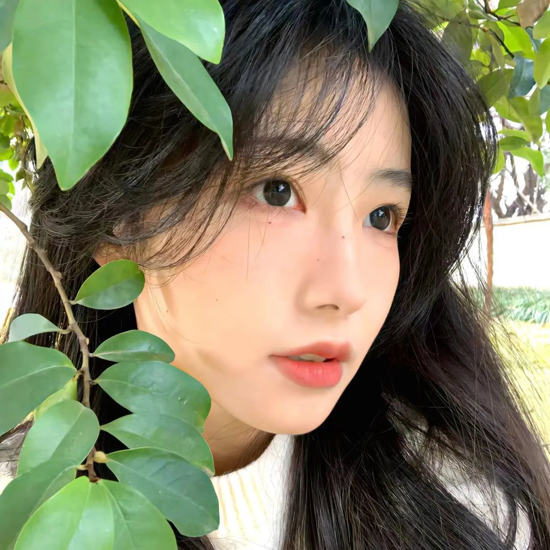 邪恶花园封面